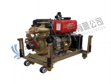 Marine Emergency Fire Pump